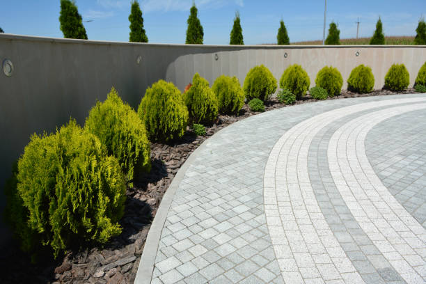 Best Interlocking Driveway Pavers  in El Jon, CA